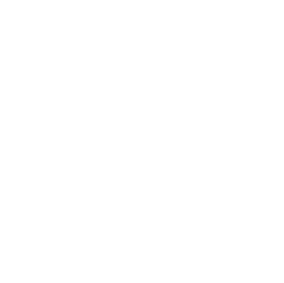 Dishup Logo